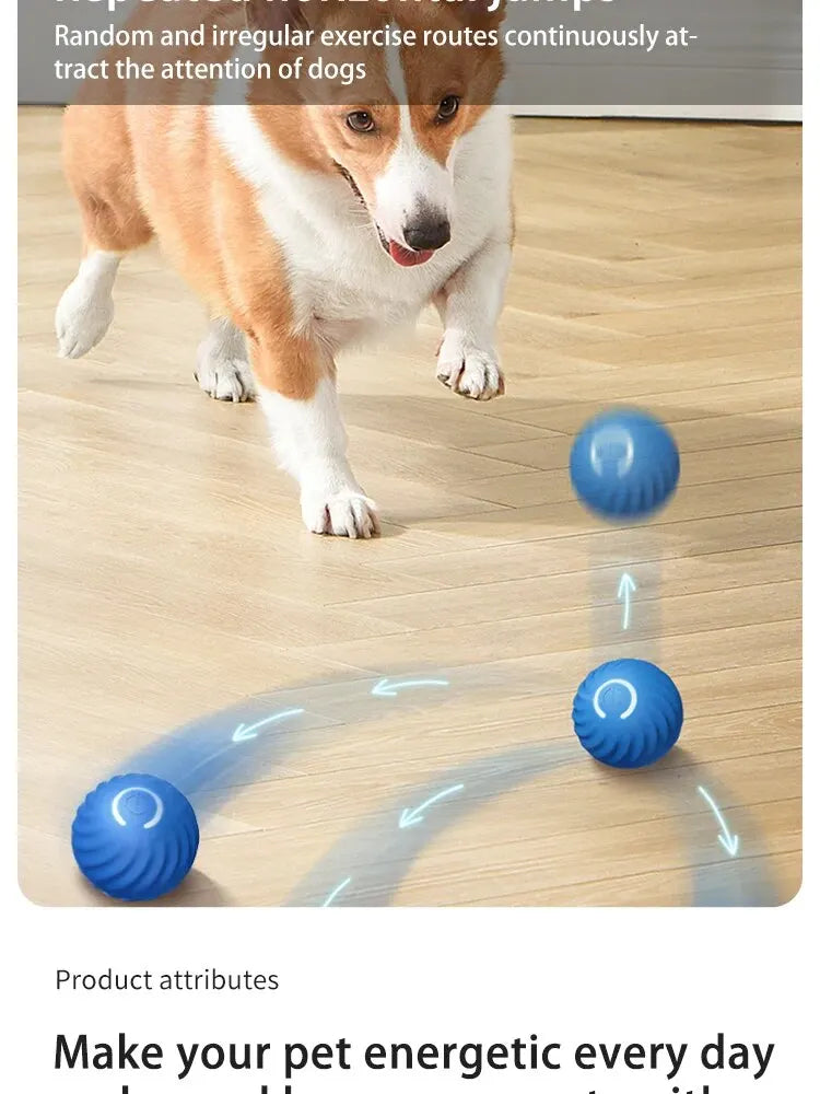 Smart Bounce Ball for Pets