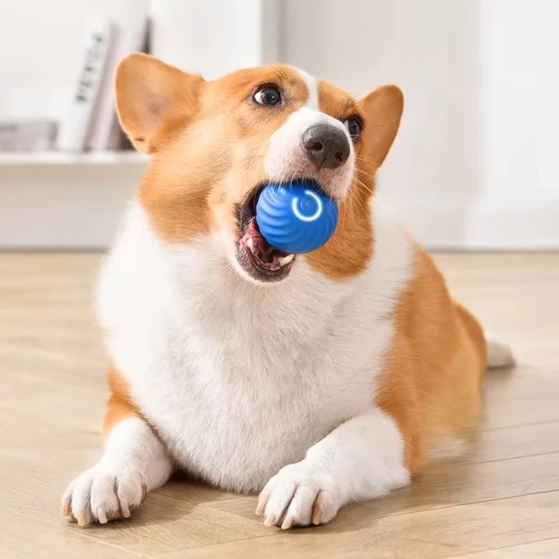 Smart Bounce Ball for Pets