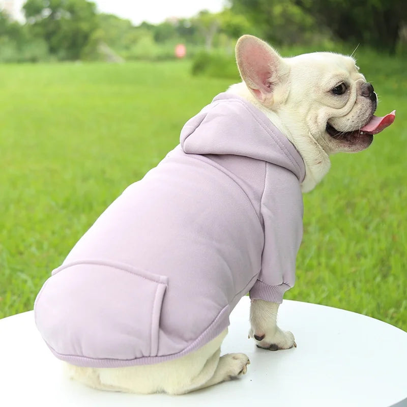 Snug Pup Hoodie – Warm & Stylish