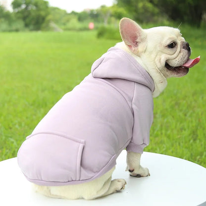 Snug Pup Hoodie – Warm & Stylish