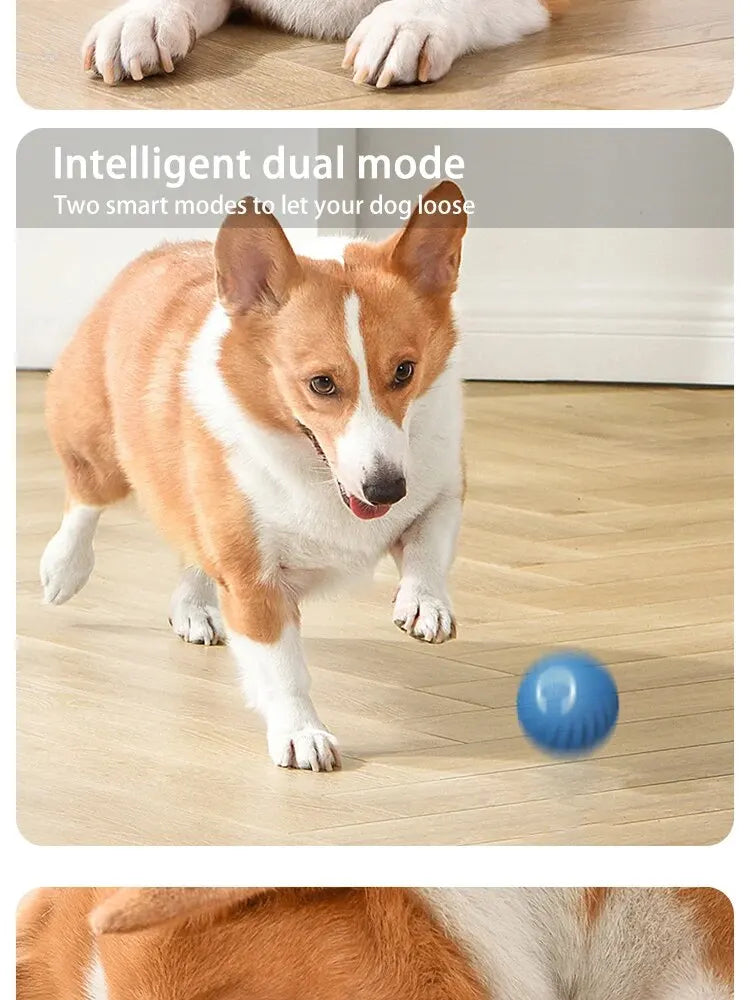 Smart Bounce Ball for Pets