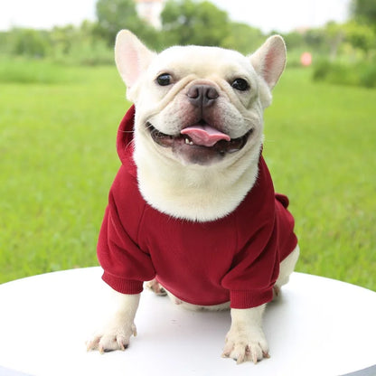 Snug Pup Hoodie – Warm & Stylish