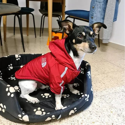 Rain-Ready Dog Jacket