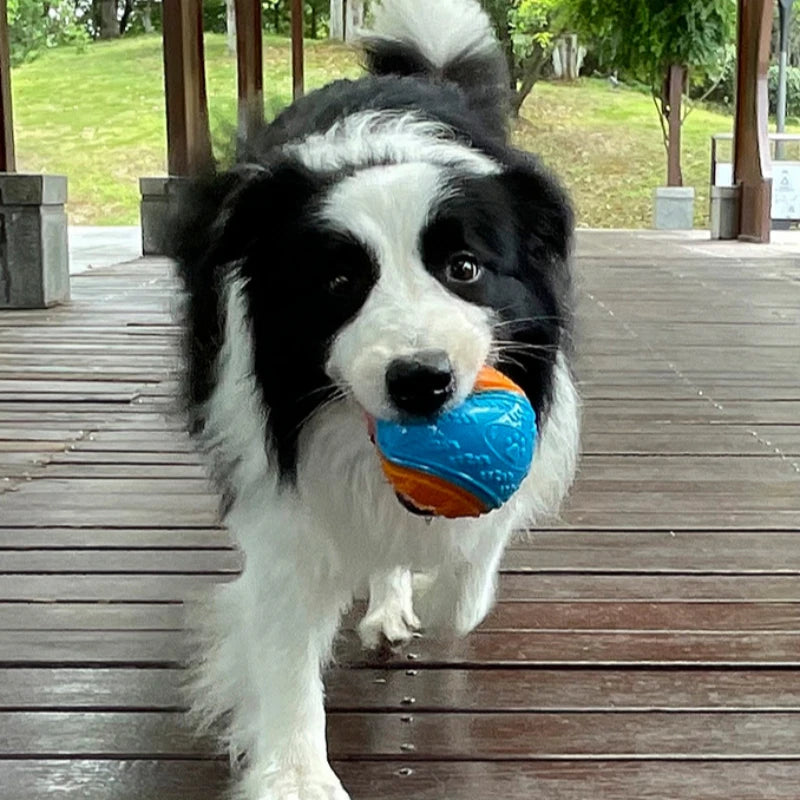 Squeaky Chew Ball for Dogs