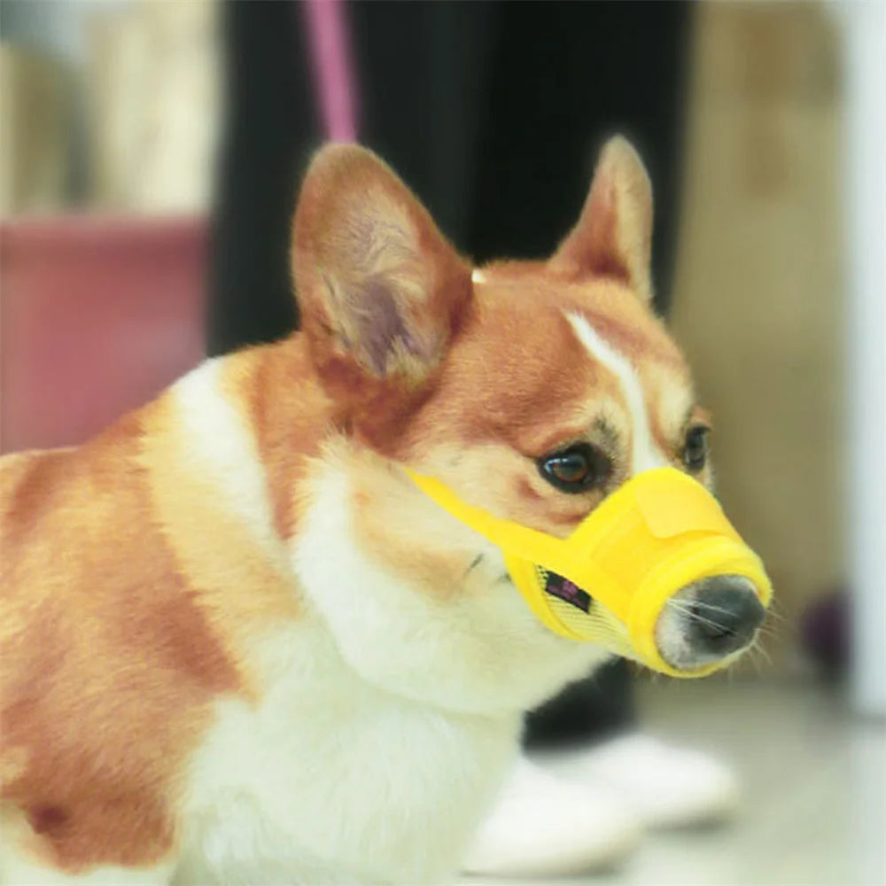 SmartFit Dog Muzzle