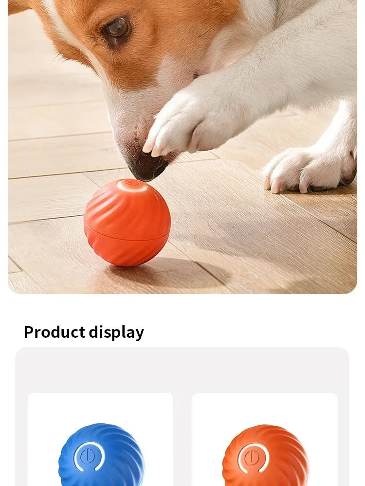 Smart Bounce Ball for Pets