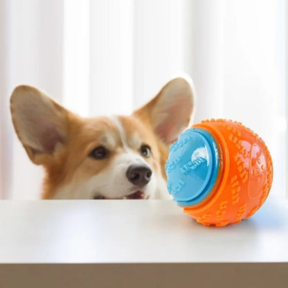 Squeaky Chew Ball for Dogs