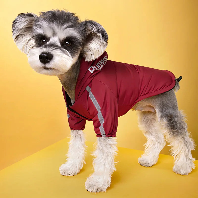 Rain-Ready Dog Jacket