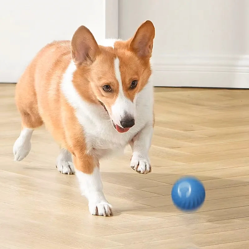 Smart Bounce Ball for Pets