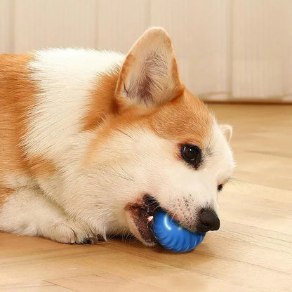 Smart Bounce Ball for Pets