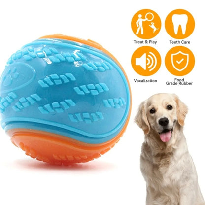 Squeaky Chew Ball for Dogs