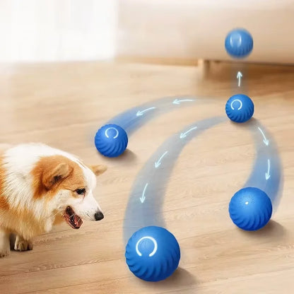 Smart Bounce Ball for Pets