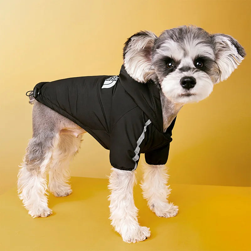 Rain-Ready Dog Jacket