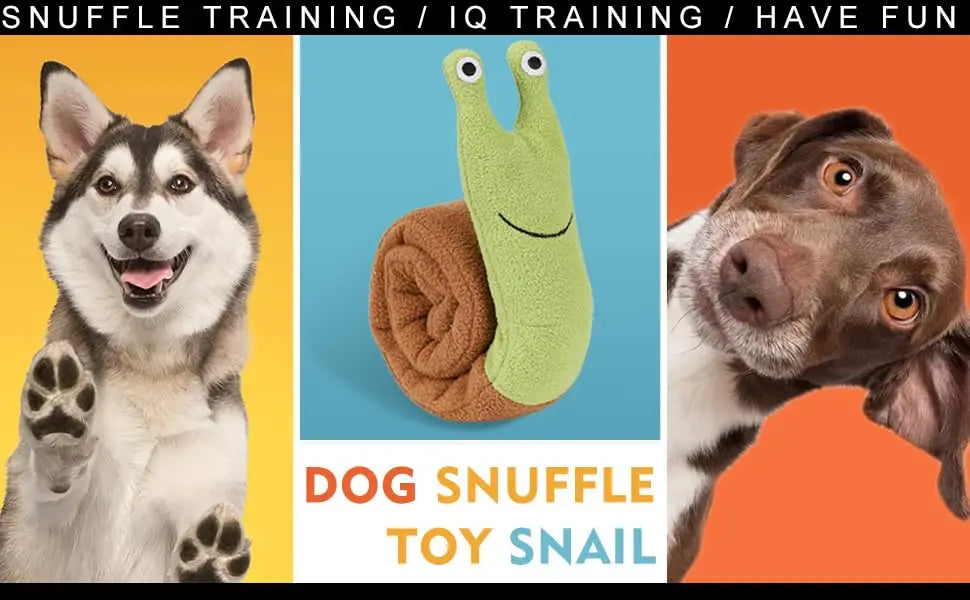 Sniff & Seek Interactive Toy